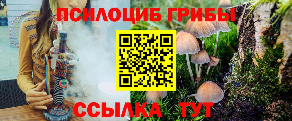 Псилоцибиновые грибы мухоморы Электросталь