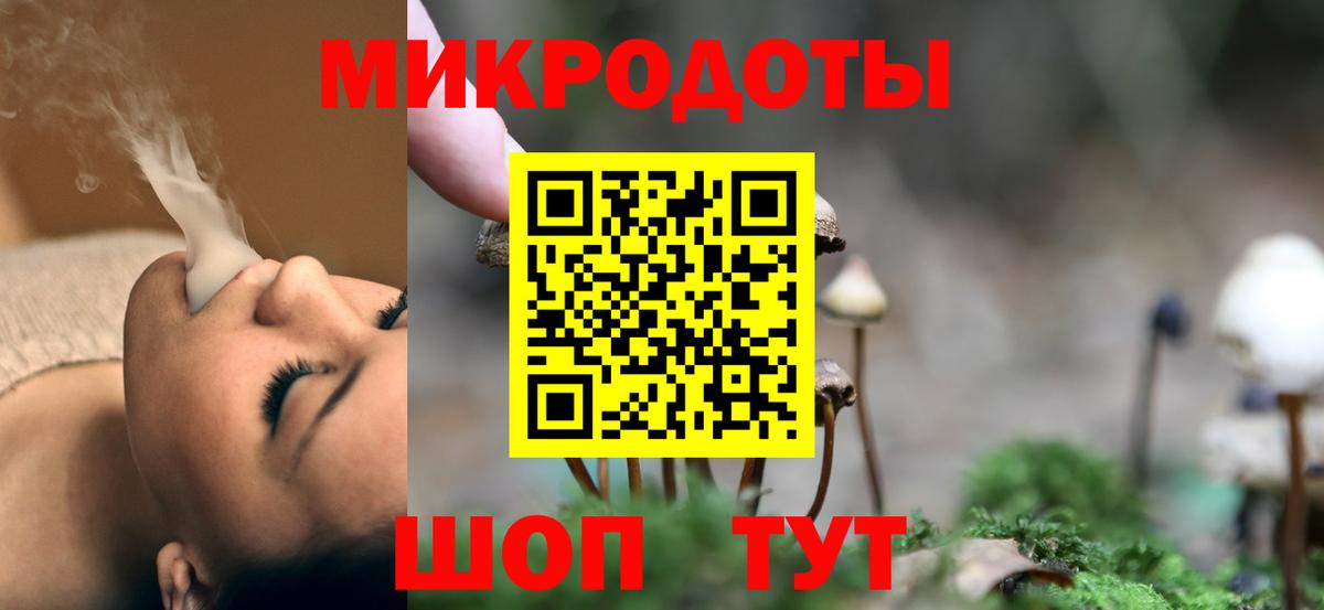 Галлюциногенные грибы Psilocybine cubensis Электросталь